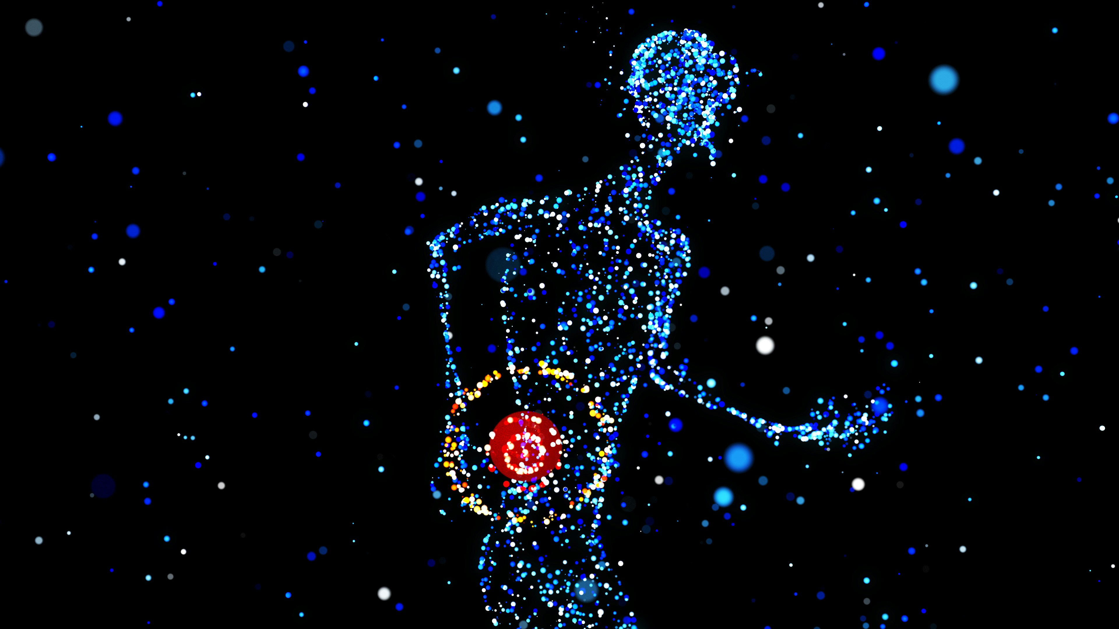 Sleep and wellness guidance