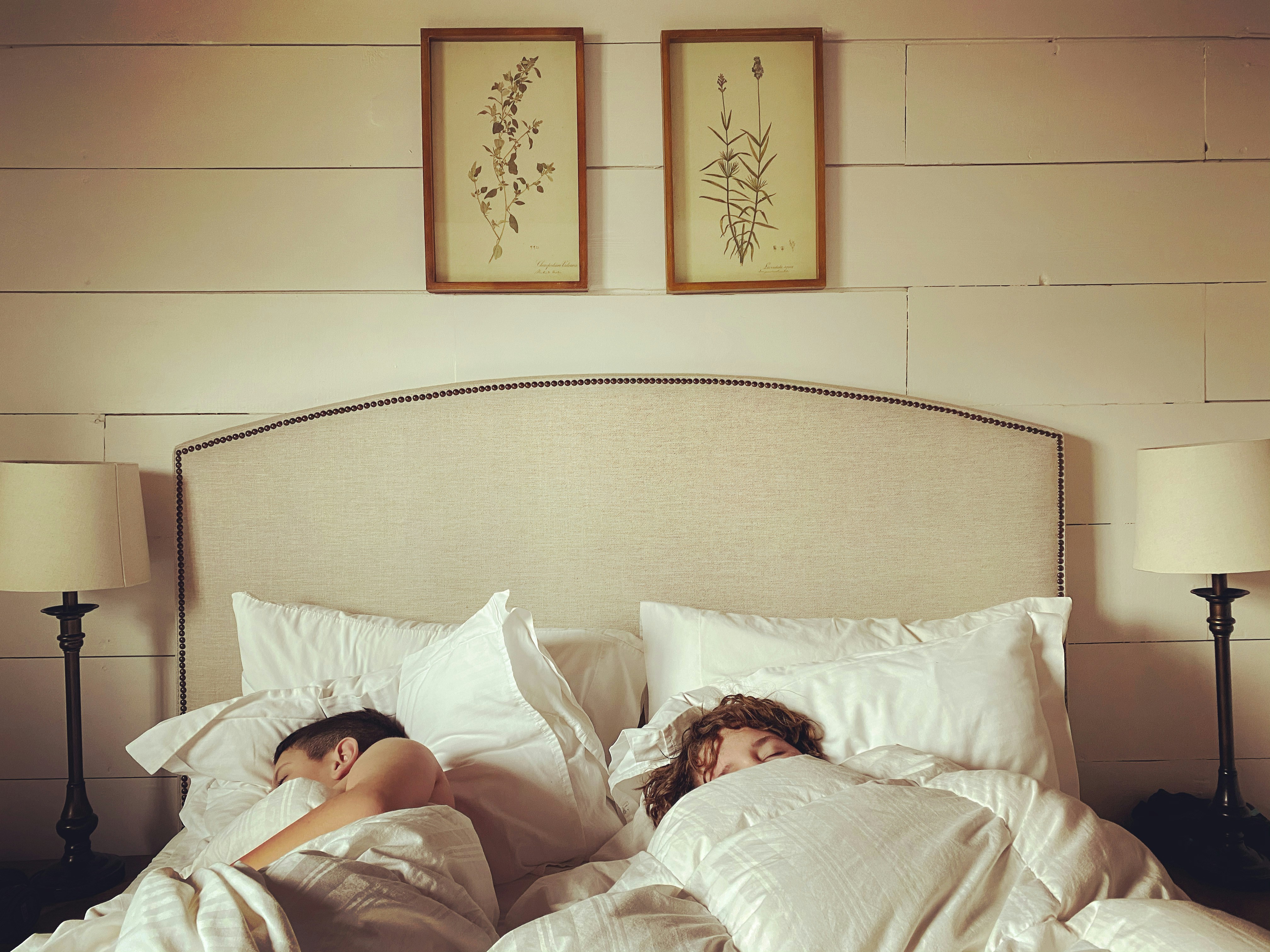 Sleep and wellness guidance