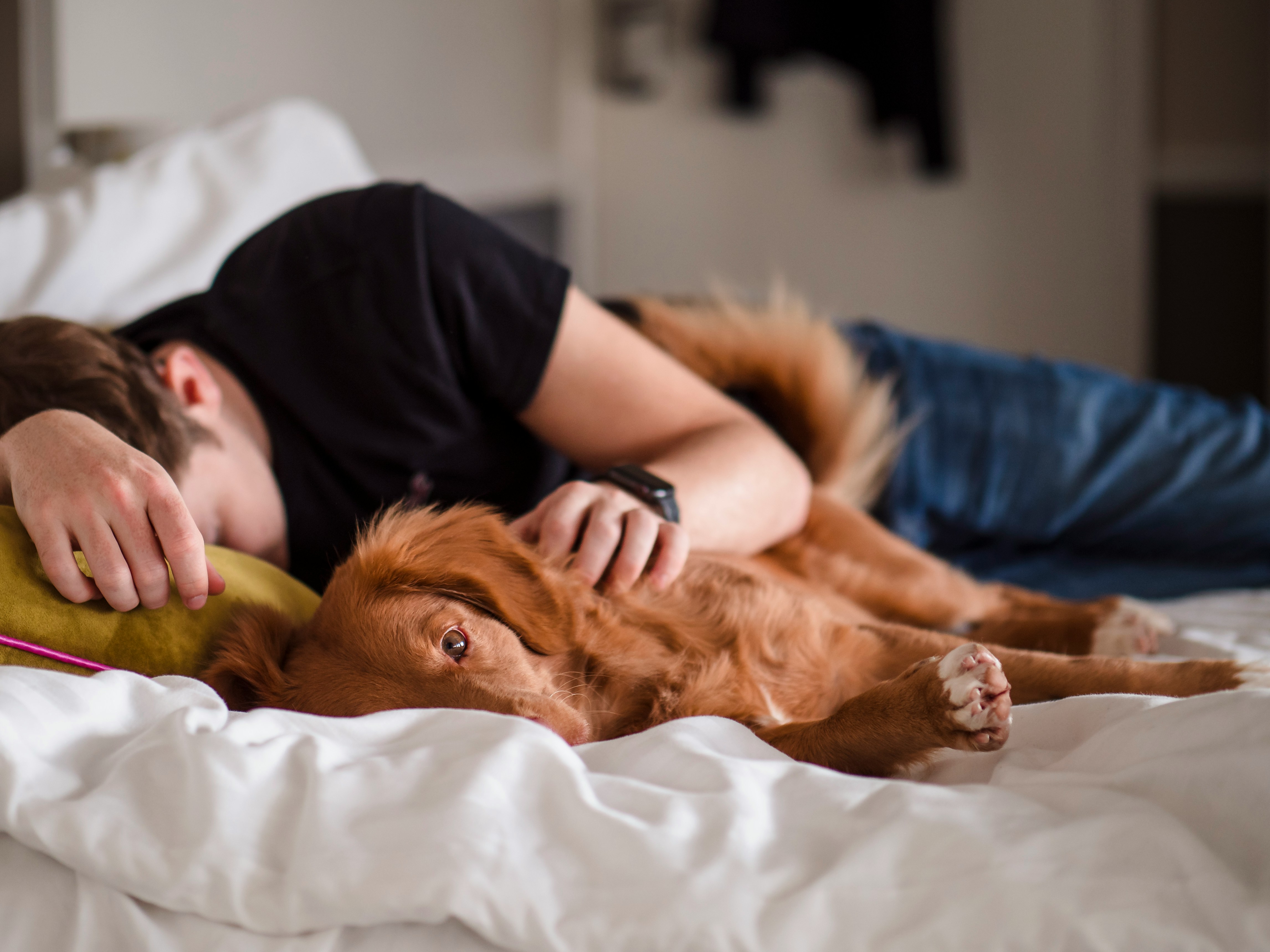 Sleep and wellness guidance